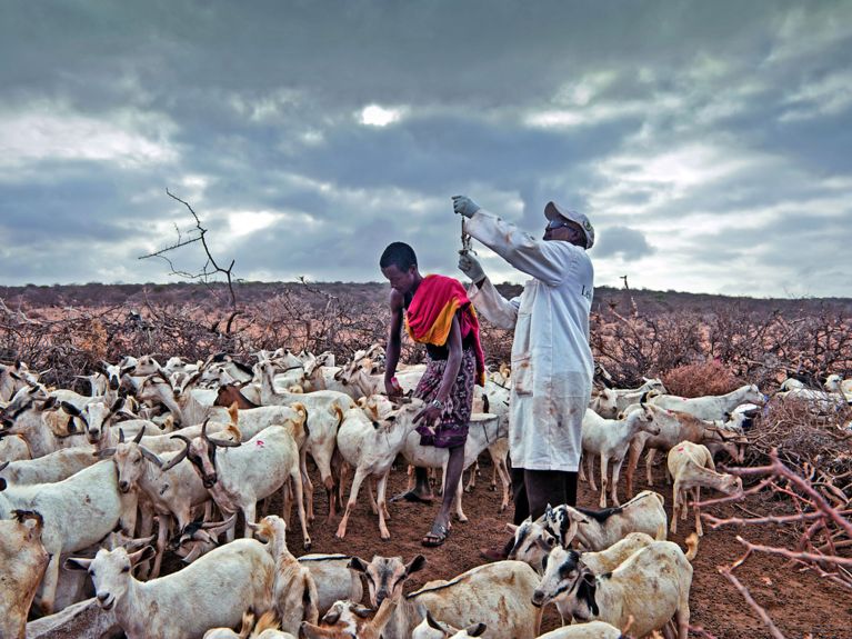 Tierärzte ohne Grenzen in Äthiopien