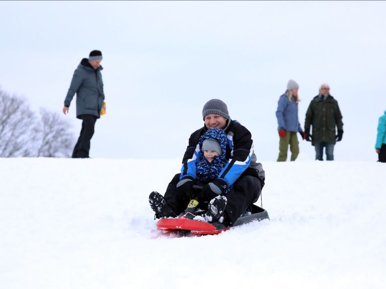 Diversión en trineo