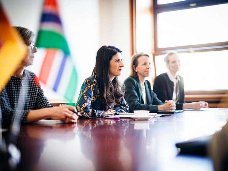 Serap Güler, Dışişleri Bakanlığı Devlet Bakanı