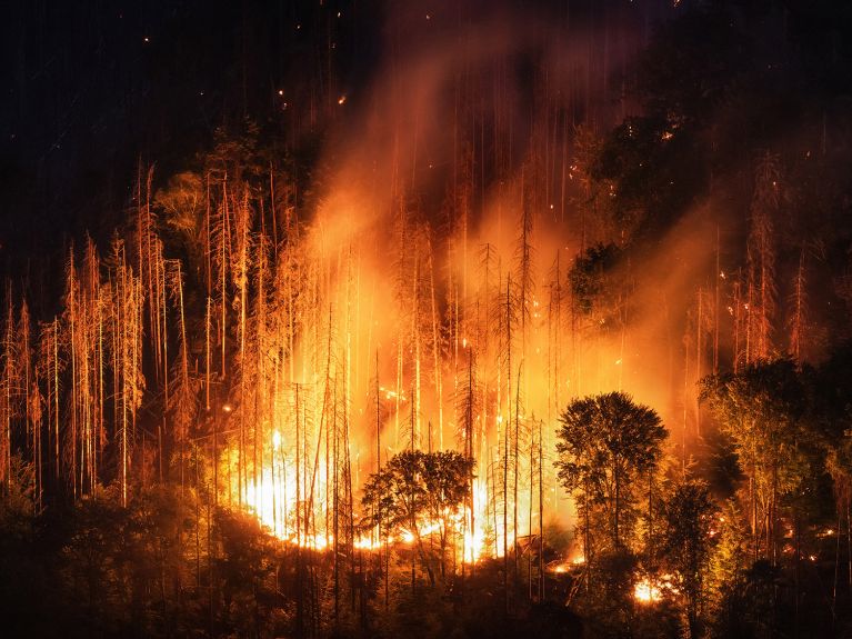 حريقُ غاباتٍ في بافاريا في صيف 2022.