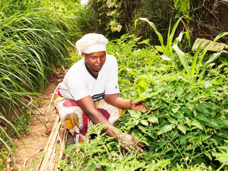 Female researchers committed to better conditions for female farmers in Africa.