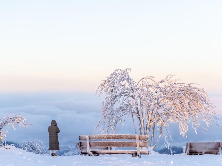 ¿Por qué no buscar la felicidad en momentos solo? Por ejemplo, durante un paseo invernal.
