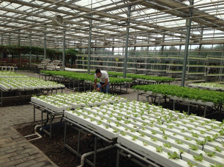 H2O Farm H2O Farm