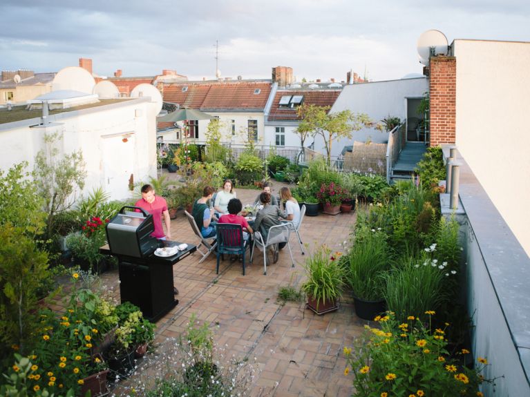 حديقةٌ على السطح