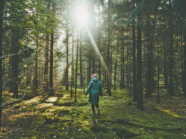 Waldspaziergang