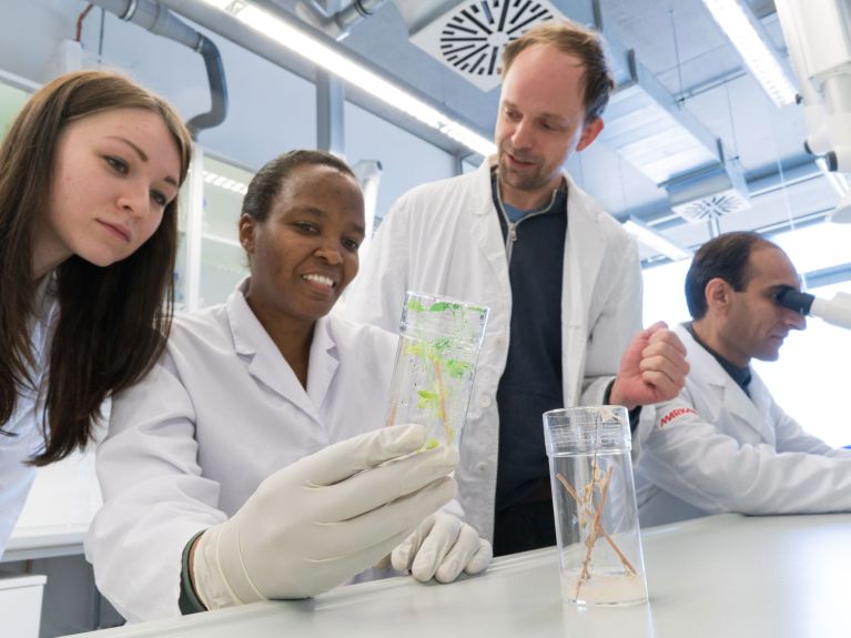 L’université d‘Hohenheim fait des recherches sur la sécurité alimenaire.