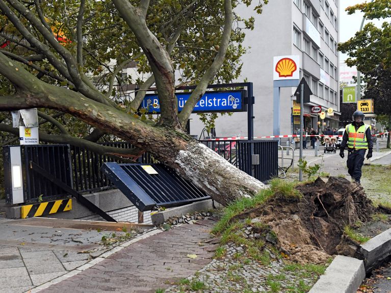 Retrospectiva anual 2017: La tormenta Xavier deja un rastro de devastación.