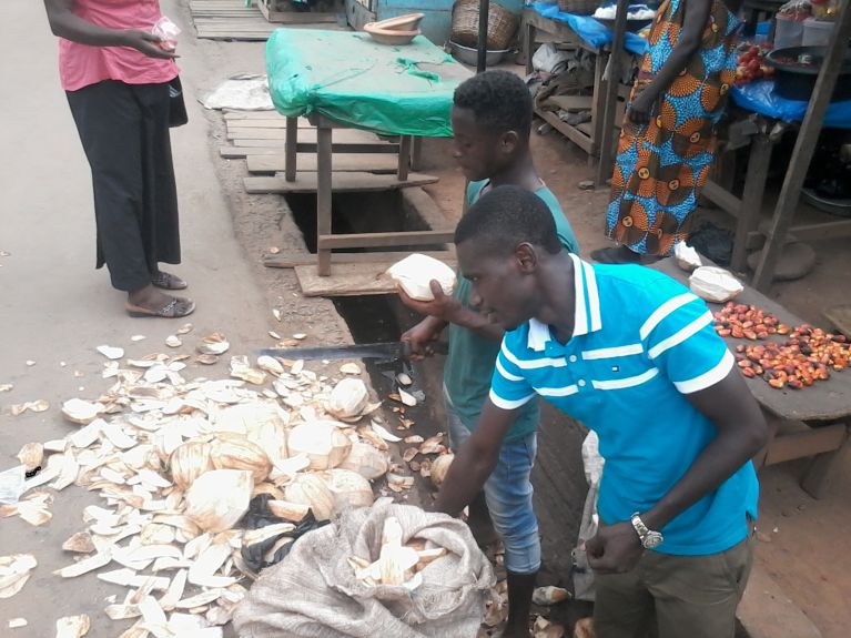 Ecovon project building materials, Ghana