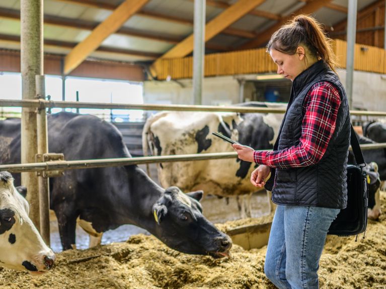 أصبحت التقنياتُ الذكيةُ معيارًا رئيسيًا بوتيرةٍ متزايدة حتى في تربية الحيوانات.