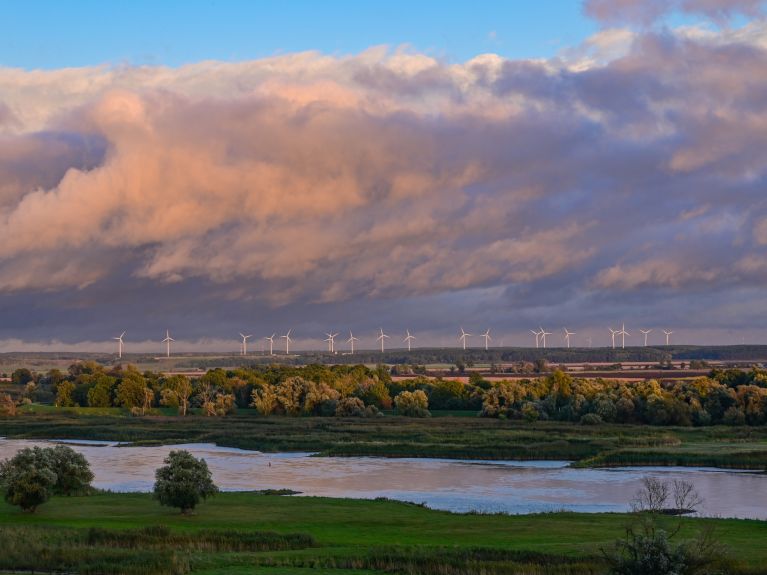 Viele Windräder auf einem Feld mit dramatischen Wolken darüber