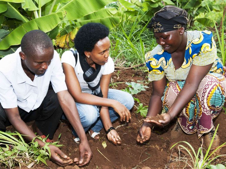 Experts examine the soil in Rwanda.