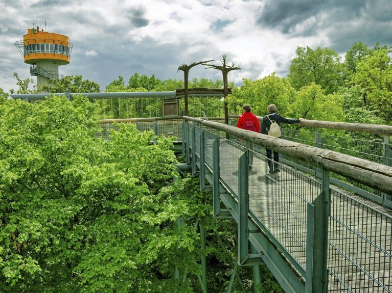 Тропа, проложенная среди крон деревьев, в национальном парке Хайних