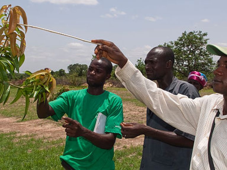Nayoko Innovations Ghana 