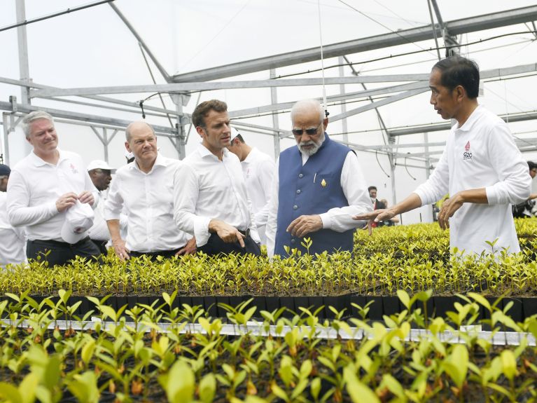 A number of heads of state and government visit a greenhouse in Bali.