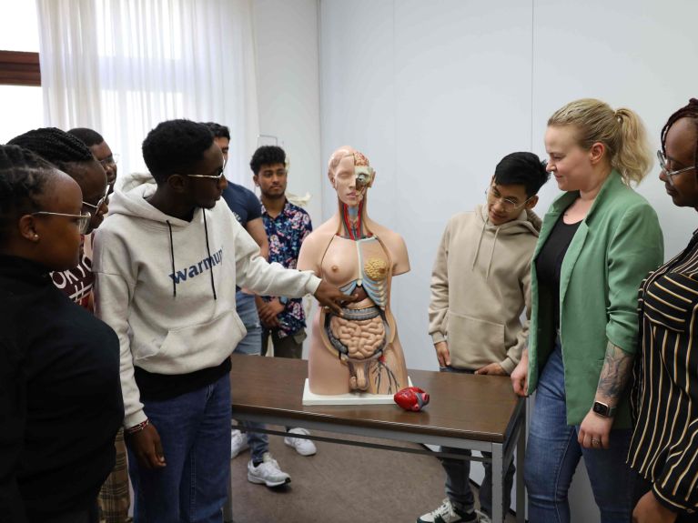 The curriculum for trainees in Bad Mergentheim  includes anatomy.