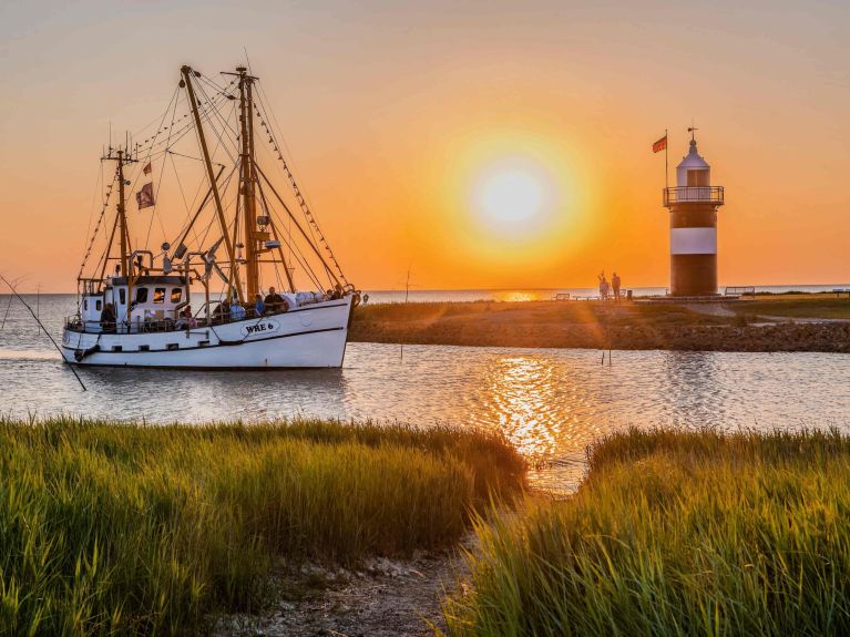 A typical Wadden Sea fishing boat sails into the harbour.