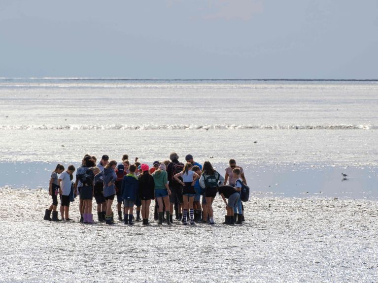Tourists taking one of the popular “Wadden Sea walks” with a guide to explain the natural landscape surrounding them.