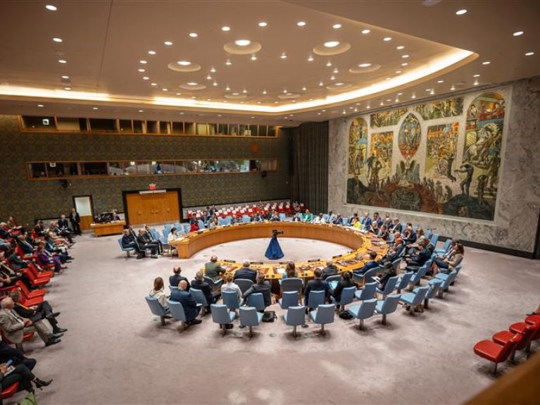 The UN Security Council in New York 