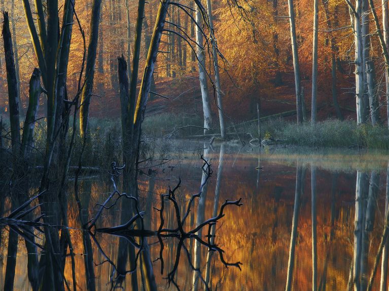 Lago no Parque Nacional de Müritz.