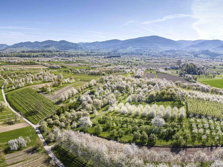 La région idyllique d’Ortenau dispose de gisements de lithium. La région idyllique d’Ortenau dispose de gisements de lithium.