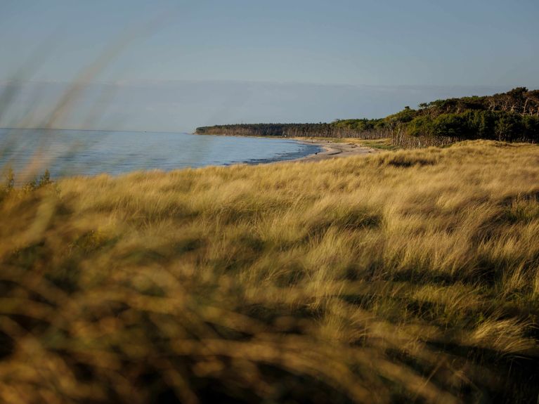Fischland-Darß-Zingst peninsula