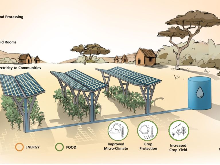 A German-African project is making it possible to use land in three different ways.