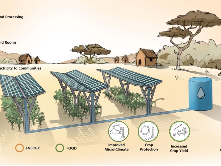 Un projet germano-africain rend possible une triple utilisation des terres.