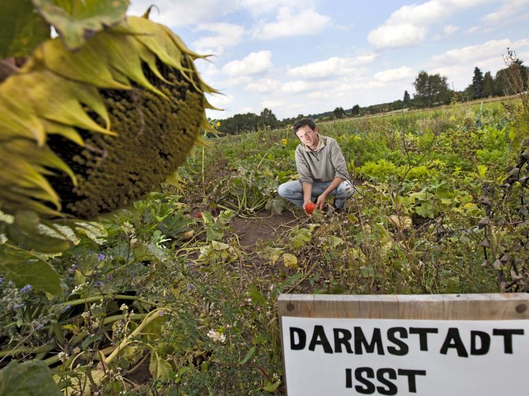 Einklang mit Natur und Tierwelt: Öko-Landwirt Thomas Goebel.