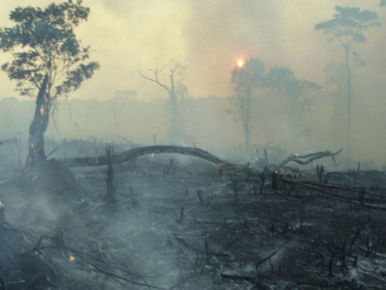 Queimadas gigantes na Amazônia 