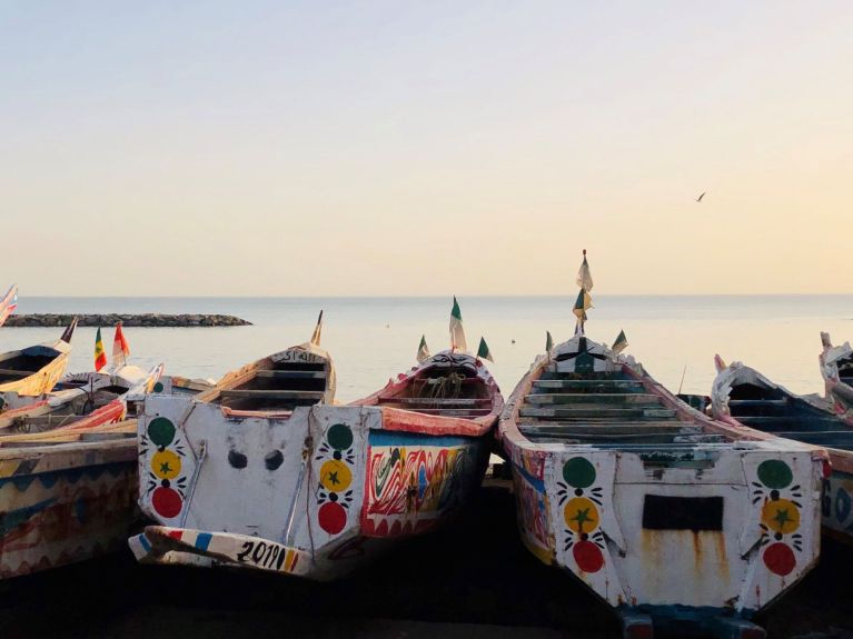 Une grande diversité des espèces règne sur les côtes sénégalaises. 