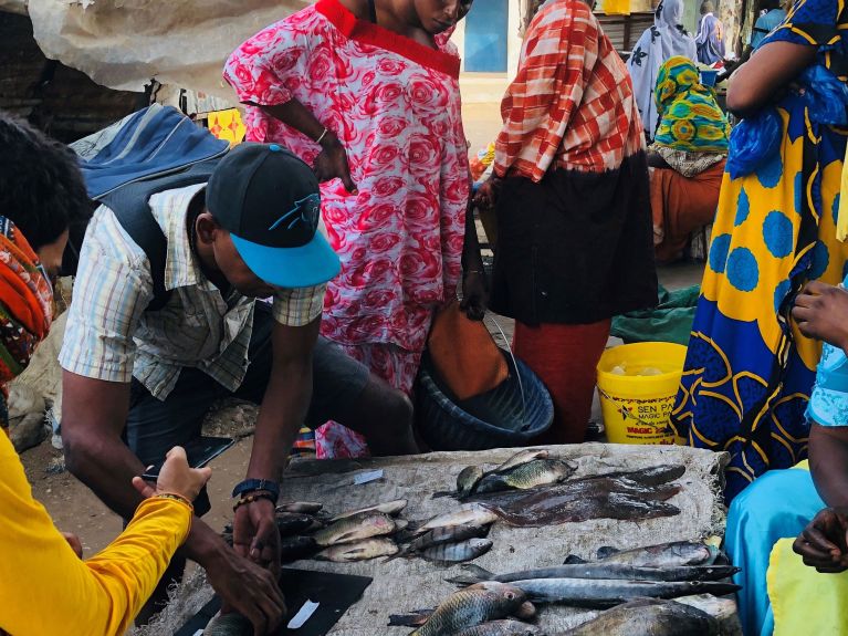 La diversité des poissons est le thème de recherche d’un projet MeerWissen.