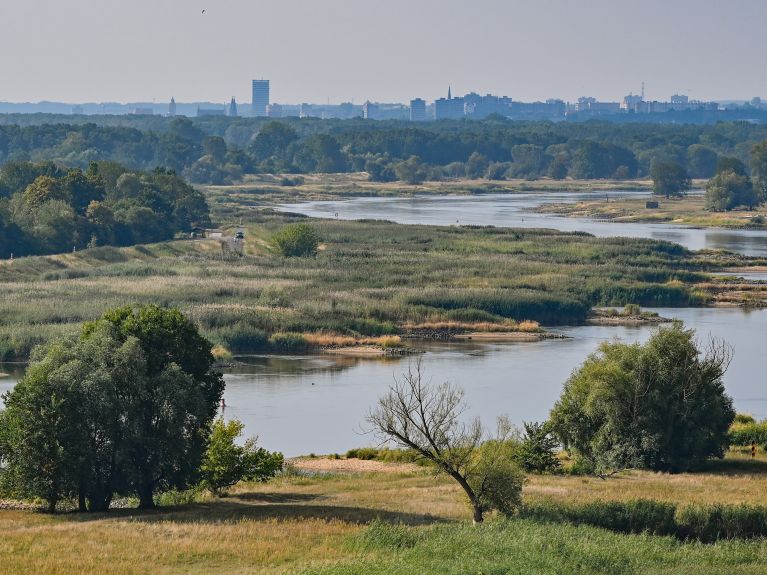 Der Grenzfluss Oder bei Lebus, gesehen in Richtung Frankfurt/Oder und Słubice