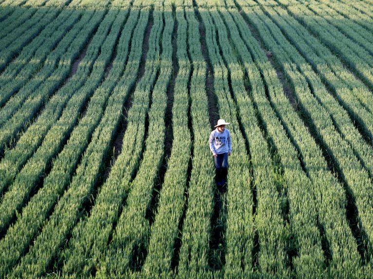 A farmer in China