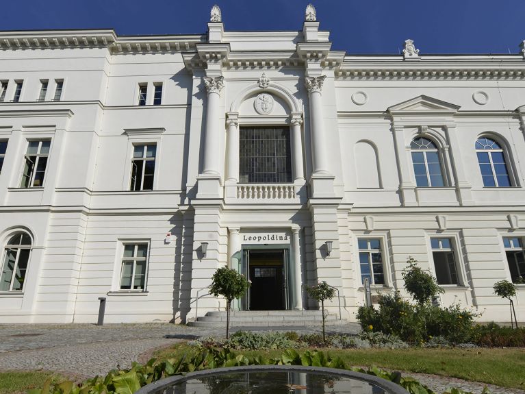Leopoldina: Wer steckt hinter der Nationalen Akademie der Wissenschaften? Leopoldina: Wer steckt hinter der Nationalen Akademie der Wissenschaften?
