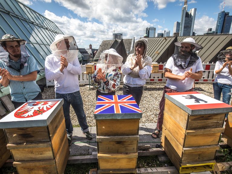 International race for bees in Frankfurt: A big hand for the frequent flyers.