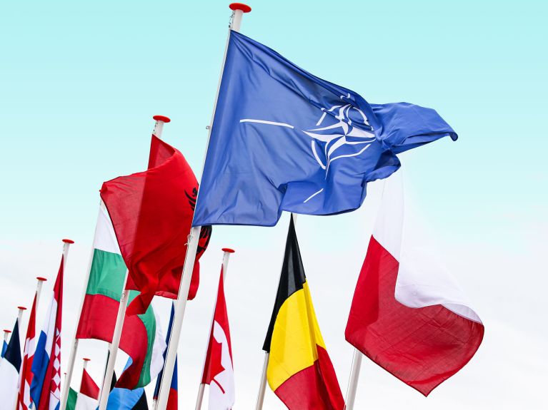 The NATO flag 
