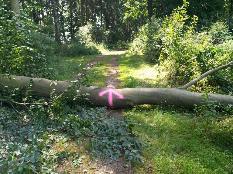 Der Weg führt durch verschiedene Landschaften