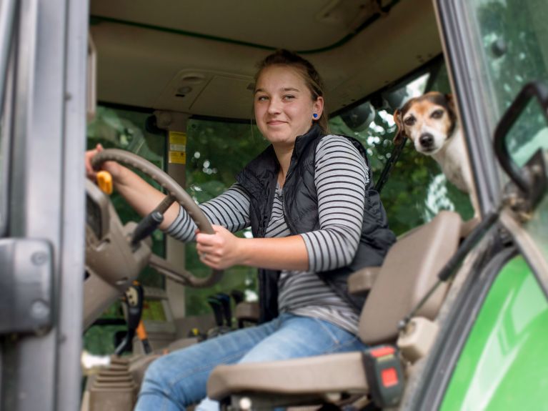 Handling tractors and animals in an agricultural engineering internship.