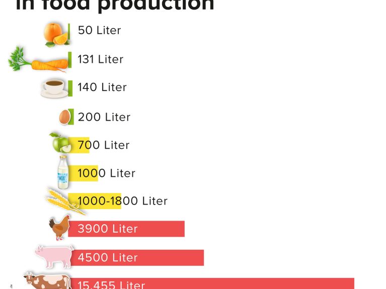Water consumption in food production 