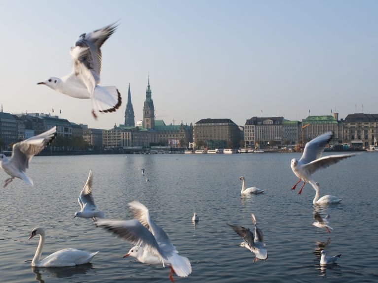 Sous son plus beau jour : vue sur le Binnenalster (l’Alster intérieure) et la ville. 