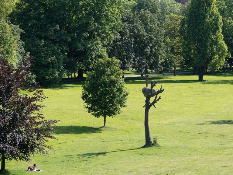 « Idee di Pietra » de Giuseppe Penone