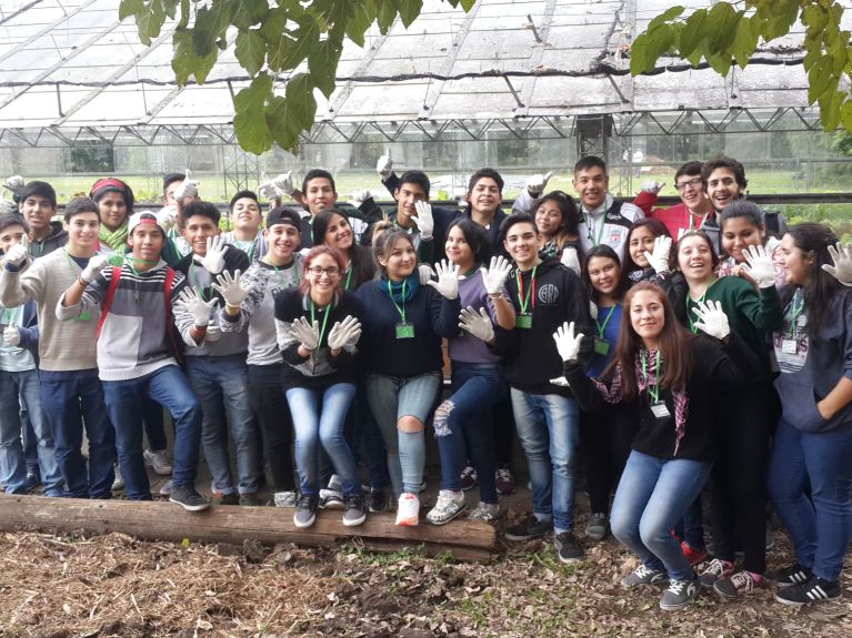 Educational project – Hydroponic cultivation
