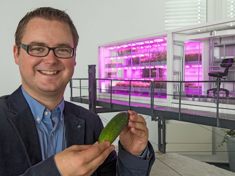 Eden-ISS: Forscher Paul Zabel will bald Gurken von der Antarktis ernten.Researcher Paul Zabel plans to harvest cucumbers from the Antarctic soon.