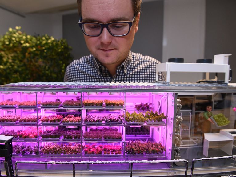 Eden-ISS: The aerospace engineer in front of a model of the greenhouse.