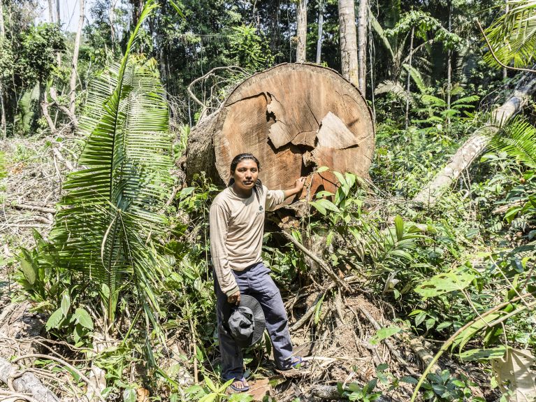 "Ich erwarte mehr Engagement im Amazonas" 