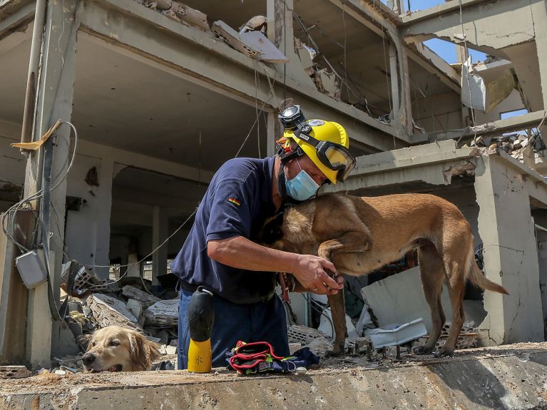 The sniffer dogs provide valuable help when searching in the rubble for survivors.