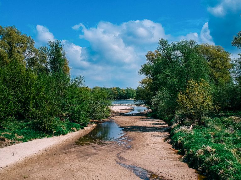 Wysychający dopływ Wisły niedaleko Sadłowic. Największa rzeka w Polsce już w maju odnotowała niski stan wody z powodu suszy.  