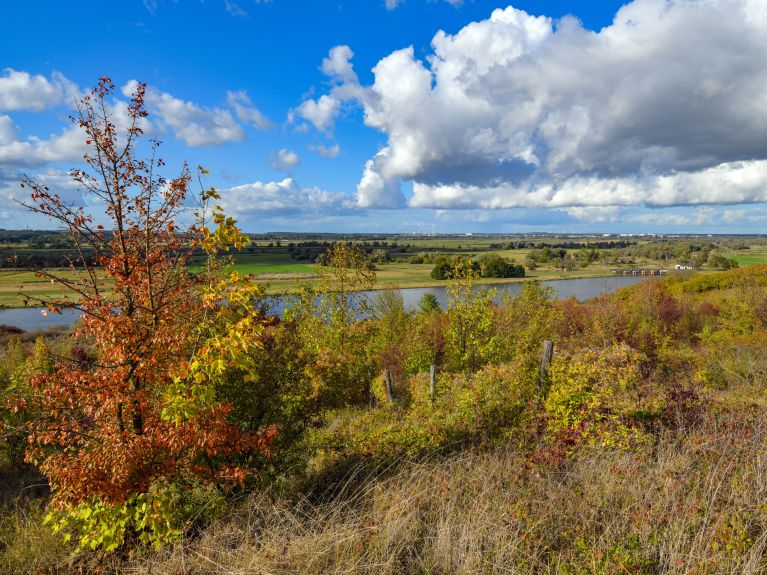 Międzynarodowy Park Krajobrazowy Dolina Dolnej Odry