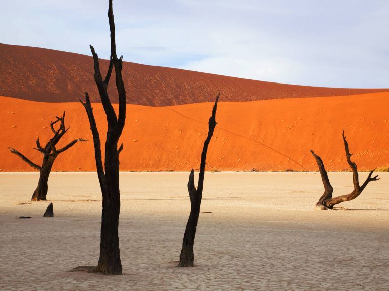 Schönes Motiv, traurige Wahrheit: Fortschreitende Desertifikation in Afrika