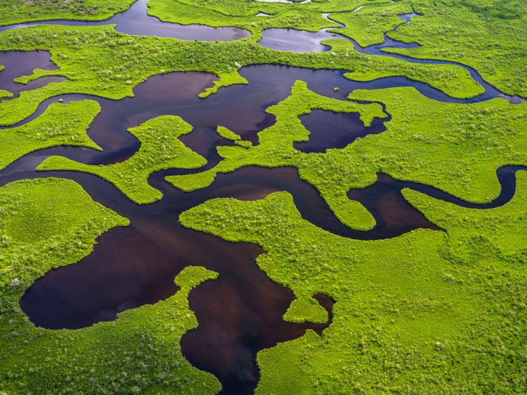 Flusslandschaft mit Algen: wertvolle Ressource